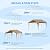 10x20 FT Heavy Duty Carport, Outdoor Portable Car Canopy Garage, Galvanized Steel Frame, UV-Resistant Waterproof PE Tarp Shelter for Vehicles, Boats, RVs, Driveway Carport, Yellow