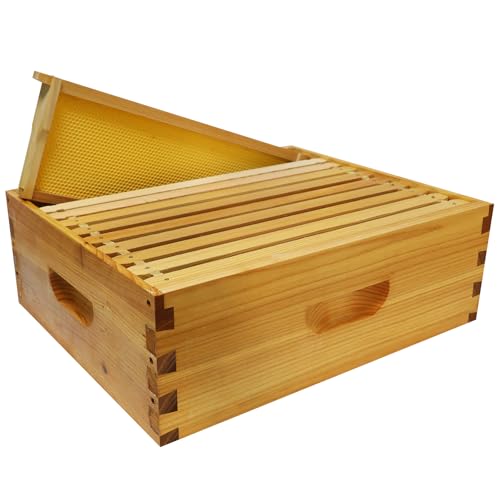 Hiveaura 10-Frame Langstroth Medium Super Bee Hive Box Dipped in Beeswax Includes Wooden Frames & Waxed Foundations Unassembled for Beginner Beekeepers
