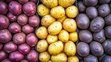 Seed Potatos Grow Pack - 3 Types, Yukon Gold, Red Pontiac, Purple Majesty - Pick the Weight You Want- Get All 3 Types (6 Pounds - 2 Pounds of Each Type) Easy to Grow, Great Flavor