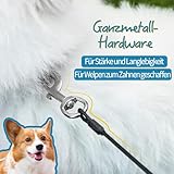 Mi Metty Kausichere Hundeleine, 6FT Bissfeste Hundeleine für große Hunde Bis zu 250lbs,Retrieverleine mit Bequemen Gepolsterten Griff (Schwarz+Blau)