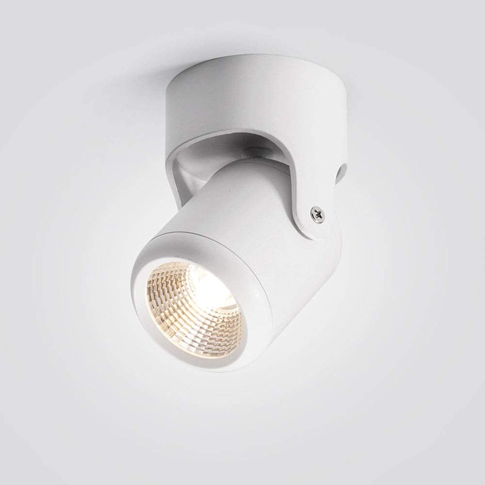 Spot de plafond LED orientable blanc chaud luminaire intérieur encastrable
