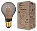 greenandco® Ampoule à LED Décorative Style Vintage Rétro Industriel Verre Fumé E27 A60 2W 45lm 2000K (blanc très chaud) 320° 230V, aucun scintillement, non-dimmable