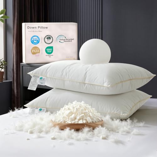 Image of Goose Feather Down Pillows, 600T Cotton Cover, Supportive, Queen Size 1pc | Pillows for Side and Back Sleepers, Best Pillow for Neck Pain, Hotel Collection Bed Pillows, Soft but Supportive Down Pillows