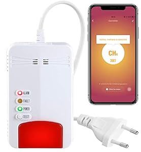 VisorTech ZX2975 Gasmelder Smart Home WiFi