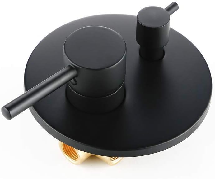 大森祥吾、【パリ残照（モンマルトル遠望）】、希少な大判額装用画集