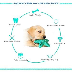 Dog Chew Toys Squeaky Dog Toys Dog Water Floating Toys Starfish Natural Tooth Brush Teeth Cleaning Toy for Small Medium Dog Blue Dog Chew Toys Squeaky Dog Toys Dog Water Floating Toys Starfish Natural Tooth Brush Teeth Cleaning Toy for Small Medium Dog Blue