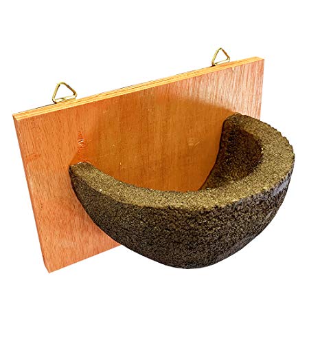 Selections Swallow Nest Bird House Rounded Half Cup Nester Bowl