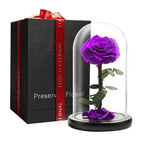 LOVAPPY Forever Preserved Rose - Eternal Rose in Glass Dome - Beauty and The Beast Rose for Mom - Fresh Flowers for Delivery Prime (Purple, 9 Inch)