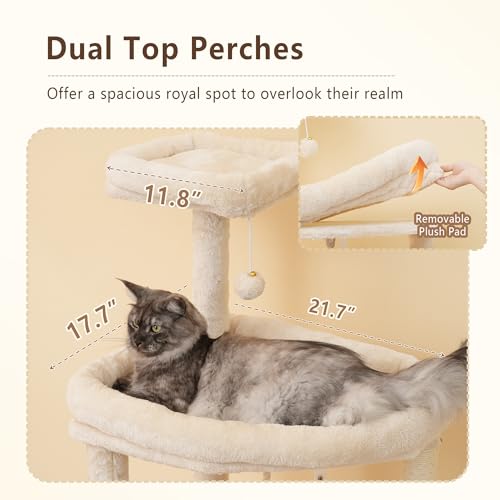 Image of Heybly 64.2 inch Heavy-Duty Cat Tree for Large Cats with Wide Base HCT027M