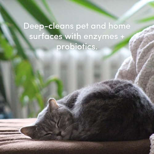 Image of Clean Revolution SuperCharged All Purpose Cleaner Refill with Smart Probiotic + Enzyme Complex, Multi-Surface Kitchen Bathroom & Floor Cleaner, Lily & Green Tea, 32 Fl Oz (Pack of 4)