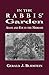 In the Rabbis' Garden: Adam and Eve in the Midrash
