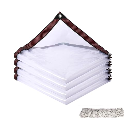 Lona transparente exterior 250 x 310 cm lonas impermeables contra la lluvia 2