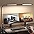LED Desk Lamp for Home Office, Eye-Caring Desk Light with Adjustable Gooseneck, Dual Screen Computer Monitor Light with Stepless Dimming, Stepless Color Temp, Memory Function for Study, Workbench