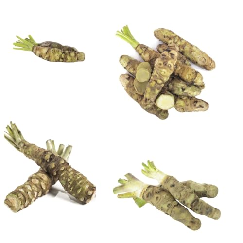 Semillas de wasabi, semillas para camas elevadas cocina jardín del balcón variedades antiguas raras regalos sostenibles jardín 300pcs