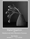 Digital Negatives for palladium and other alternative processes