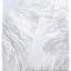OPTIC WHITE