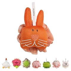 Little Orange Rabbit