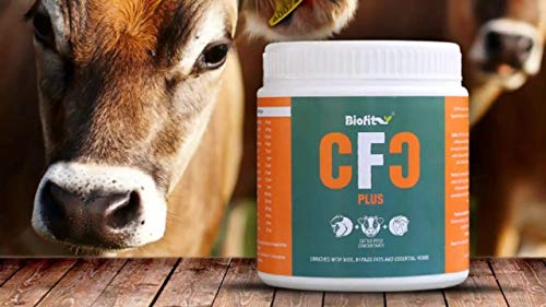 CFC Plus 500 Gram, Powder Milk Gainer Netsurf Bio Fit, BIOFIT CFC Plus Extracts Concentrate Plus ( Pack of 1)