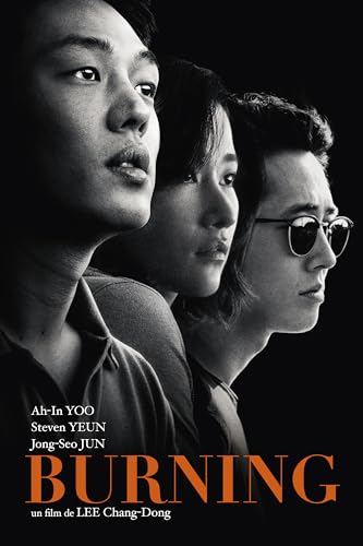 Burning Blu-ray edición francesa para ver cine coreano original sin compresión digital 2