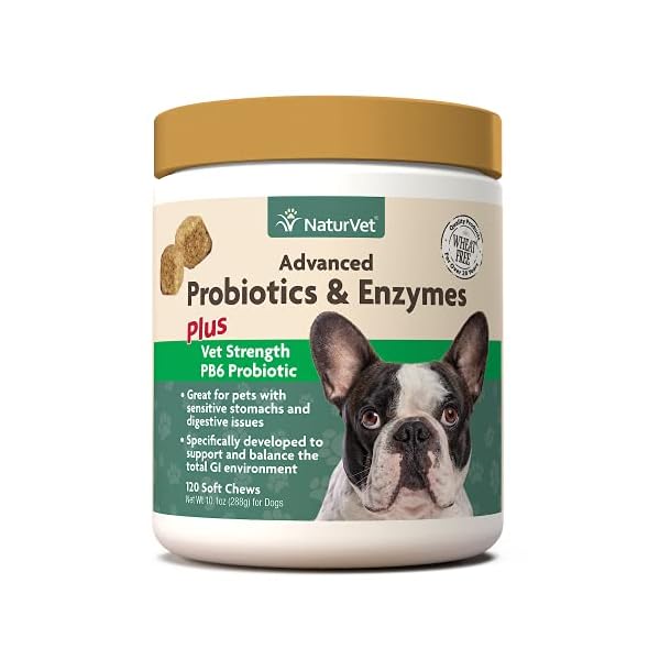 Veterinarian Strength Advanced Probiotics, Healthy Enzymes and PB6