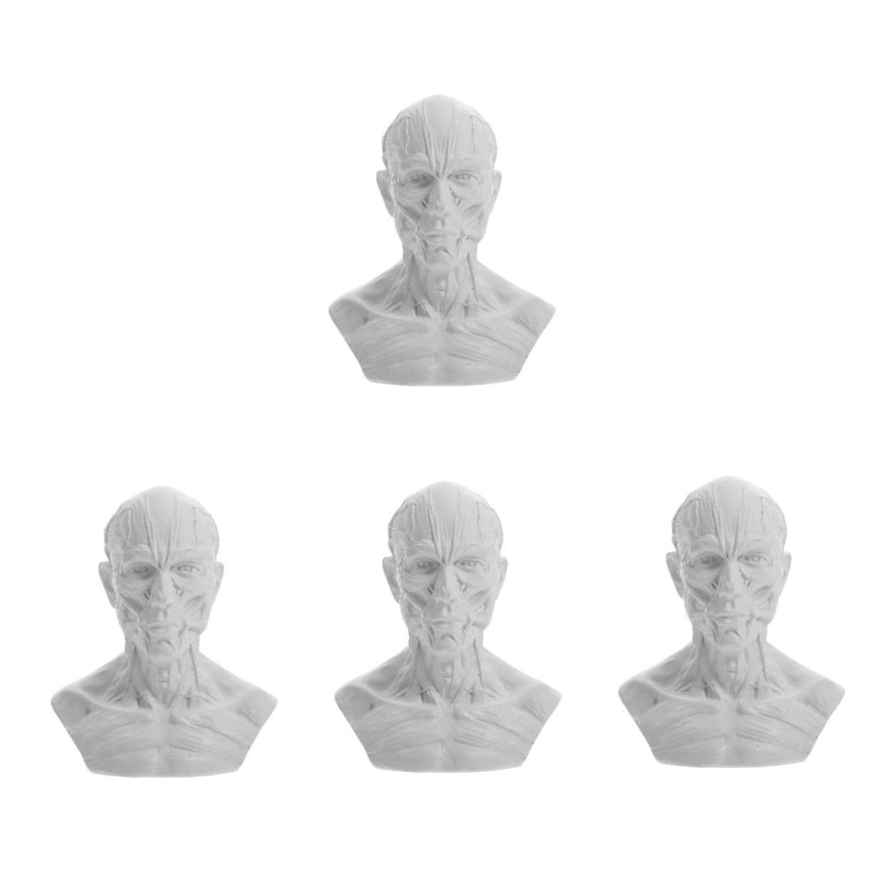 Cabilock 4 Piezas Bosquejo Estatua Modelo Óseo De Los Músculos De La Cabeza Estatuilla del Músculo De La Cabeza del Cráneo Modelo Humano Estatua del Músculo De La Cabeza del Cráneo Resina