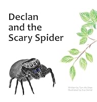 Declan and the Scary Spider 1958195324 Book Cover