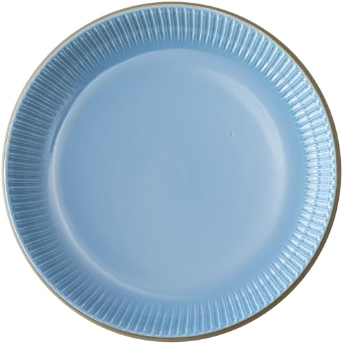 ���m���� KOYO �T�U���o���[ �Z���X�g�u���[ 26cm �v���[�g �H��@�Ή� ���{�� 11418003