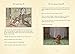 Lady and the Tramp (Disney Animated Classics): A deluxe gift book of the classic film - collect them all!
