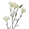 Ashland 40" Magnolia Oversized Stem, Spring Floral for Crafting and Home Decor #1