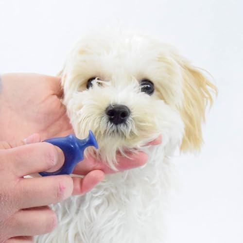 Paw Ready Pet Toothbrushing Assistant for Puppies' Dogs and Cats Allows You to Brush Your pet’s Teeth Without Constantly Worrying About Getting Bitten. (Blue, Small) - Image 3