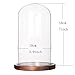 Moonlear Glass Display Dome Cloche Tabletop Display Case (Cofee Wood Base, Dia3.9 x H7)