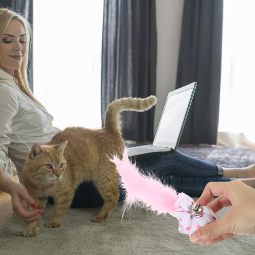 BESPORTBLE 3 Peças Brinquedos Para Gatos Brinquedos Para Gatos Adoráveis ​​Brinquedos Interativos Pa
