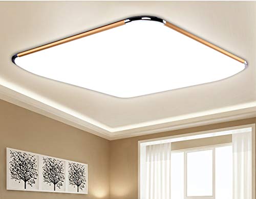 Plafond LED 24W à basse consommation et haute luminosité argent