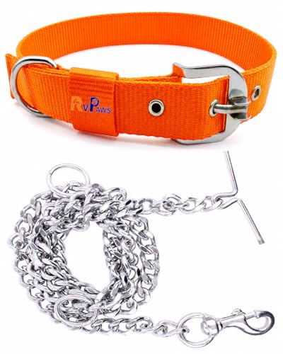 Image of RvPaws Belt Combo - Nylon Collar with 63-Inch Heavy Chain | Adjustable Pet Collar and Leash Set for Medium & Large Dogs (Orange, 1.25 Inch)