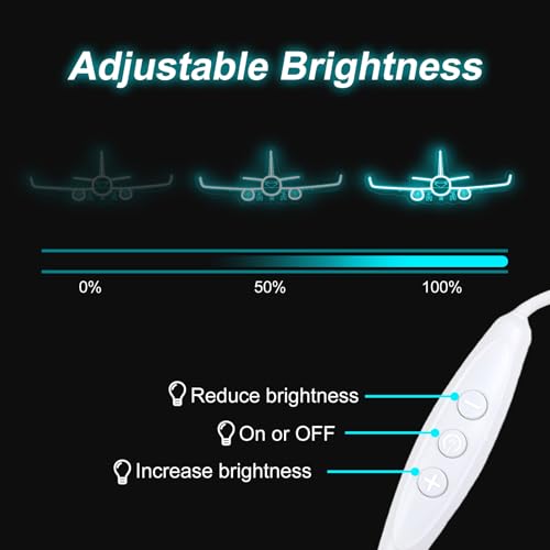 Image of Airplane Neon Sign, Handmade LED Light, Airplane Wall Decort, Gifts for Pilot, Aviation Lover Gift, Kids Room Decor, 16.5 inchx6.5 inch, Ice Blue