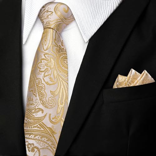 Image of DiBanGu Mens Paisley Tie Set Silk Woven Jacquard Necktie and Pocket Square Cufflinks Gift Set for Wedding Bussiness