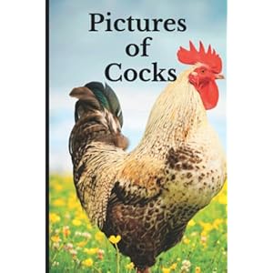 Pictures of Cocks: Funny White Elephant, Yankee Swap, Secret Santa Gift, (Stupid Gifts Ideas) Paperback – August 6, 2022