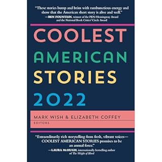 COOLEST AMERICAN STORIES 2022 Audiolibro Por Mark Wish arte de portada
