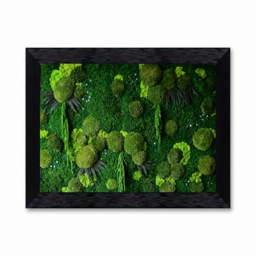 Framed Canvas Wall Art Preserved Moss Mosaic Forest Lime Tones 3D Cushion Spheres Canvas Print Poster Black Frame Wall Decor for Living Room Office Biophilic Design, Botanical Art - Inch 12x16