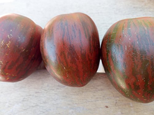 SEMI POMODORO BLACK ZEBRA-