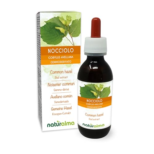 Common Hazel (Corylus avellana) Alcohol-Free Bud Extract from Fresh Buds Naturalma - Liquid Drops 120 ml - Food Supplement - Vegan