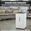 YougetTech Evaporative Humidifiers |6.5L(1.8Gal) Tank for Whole Room Humidifier | 30 W Cool No Mist Humidifiers | 7 Speed | MAX Output 1500 ml/h | Auto Humid | Top Filling | White
