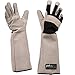 PetFusion Multipurpose Pet Glove for Grooming, Trips to Vet, Handling - Small/Medium. [Puncture & Scratch Resistant, Water Resistant]. Ideal for Dogs, Cats, Birds, Small Pets