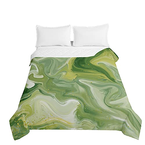 Chickwin Boutis Couvre Lit Matelassée 1/2 Personnes, Marbre Classique Réversible Été Parure de Lit Canapé Couvre-lit Couverture de lit Jeté de Lit Dessus de Lit Courtepointe (180x220cm,Vert)
