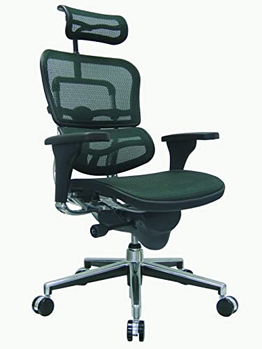 Image of Ergohuman Eurotech Seating High Back Mesh Managers Chair, Green