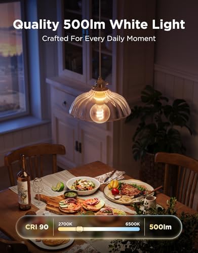 Image of Govee Edison Bulbs, G25 Smart Vintage Light Bulbs, RGBWW, E26 Base 4 Pack | RGBWW and Tunable White, Compatible with Matter, Alexa & Google Assistant, Vanity light bulb for Living Room Kitchen
