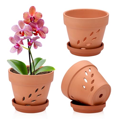 SUMTree 15 * 12.5cm Terracotta Orchid Pots, 3 Pack Terracotta Orchid Pots with Holes and Saucers, Small Terra Cotta Orchid Pot, Plant Flower Pots for Orchid Indoor Outdoor Promotes Air Circulation