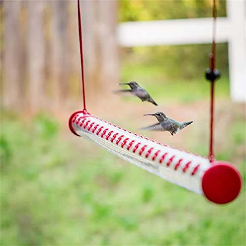 Mangeoire à colibris tube transparent de 40cm pour oiseaux - 7