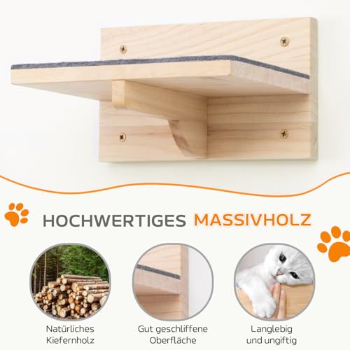 Pawtasy Kletterwand Katzen Katzentreppe Wand 4er-Set Katzen Kletterwand Set Stabiler Katzenwand Naturholz Katzenleiter Katzenwandparkour tragfähig bis 35 kg