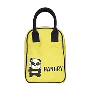 Eco Right Insulated Lunch Bag for Men, Lunch Bags for Women & Kids for Work & School | Food Safe Cooler Bag